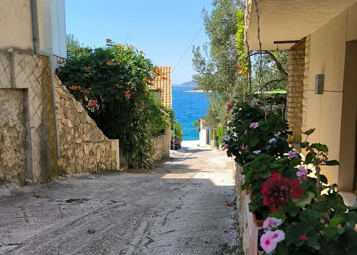 Suton プリモシュテン